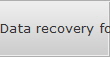 Data recovery for Clarksdale data